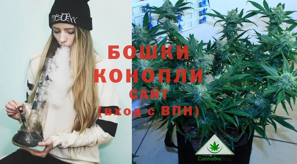бошки Абаза