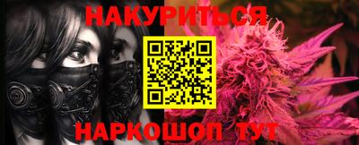 индика Славгород