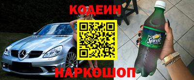 индика Славгород
