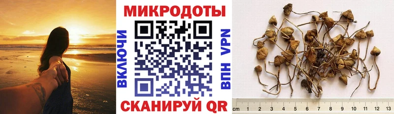где купить   Стрежевой  Псилоцибиновые грибы Magic Shrooms 
