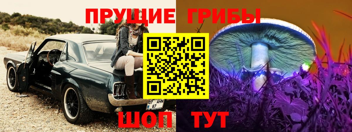 Галлюциногенные грибы GOLDEN TEACHER Стрежевой